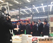 副國級領(lǐng)導來訪寶潤達參觀調(diào)研